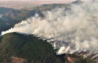 Denizli’deki orman yangını geniş bir alanda devam...