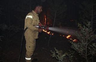 Denizli’deki yangında 10 hane boşaltıldı