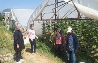 Deresakarı köyündeki üreticiler bilgilendirildi