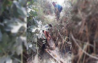 Dereye düşen eşeği itfaiye kurtardı