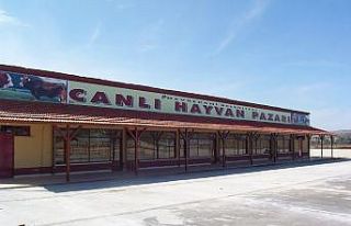 Devrekani hayvan pazarı 2 hafta kapatıldı