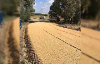 Devrekani’de grup yolları asfaltlanıyor