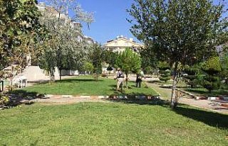 Didim Belediyesi Park Bahçeler Müdürlüğü ekipleri...