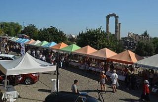 Didim Zeytin Festivali’nin tarihi belli oldu