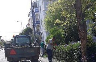 Didim’de çevre temizliği çalışmaları devam...