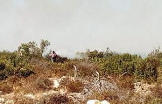 Didim’de makilik alanda yangın çıktı