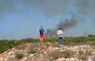 Didim’deki makilik yangını korkuttu