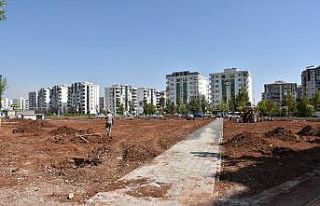 Diyarbakır’a özgü ağaçlar parkta yetiştirilecek