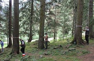 Doğu Karadeniz Ormanları yaklaşık 3 milyon ’terminatör...