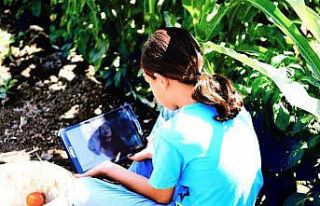 Domates tarlasında ders başı