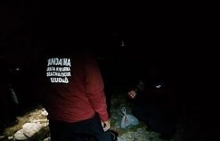 Domuz sandı arkadaşını vurdu