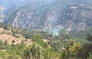 Dursunbey’de orman yangını