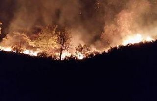 Düzce’de orman yangınına müdahale sürüyor