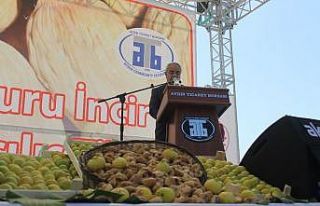 Ege Bölgesi kuru incir rekoltesi 85 bin 585 ton olarak...