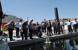 Eğirdir Gölü’ne 562 bin adet sazan yavrusu bırakıldı