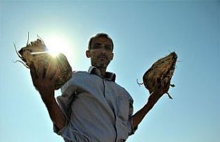 Elazığ Şeker Fabrikası pancar alım kampanyasını...