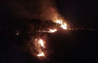 Elazığ’daki orman yangını 30 saatte kontrol...