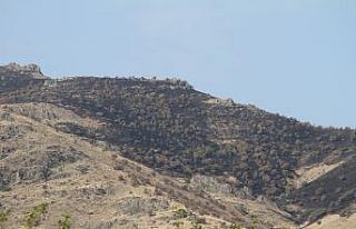 Elazığ’daki  orman yangını söndürüldü