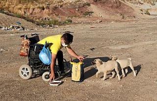Engelli genç hayatını sokak hayvanlarına adadı