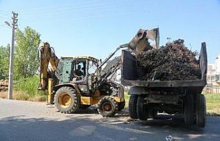 Erdemli’de moloz temizliği