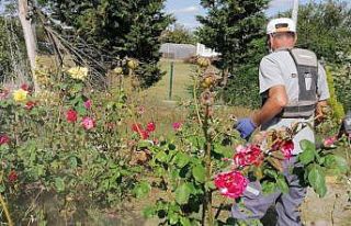 Ergene Belediyesi çalışmalarını sürdürüyor