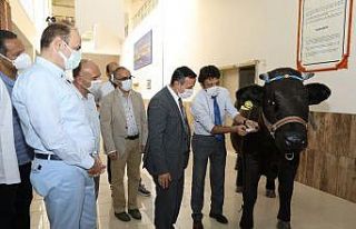 ERÜ Rektörü Çalış, Akademisyenler Tarafından...