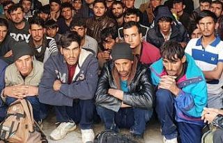 Erzincan’da 58 kaçak göçmen yakalandı