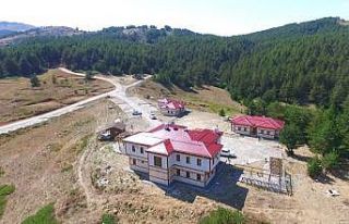 Erzincan’ın yeşil cenneti, Dumanlı Tabiat Parkı...