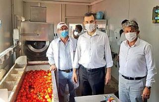 Esgin’den domates üreticisine bir müjde daha