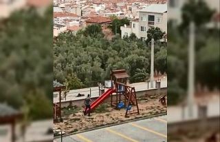 Eşine sokak ortasında kurşun yağdıran zanlının...