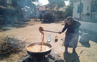 Eskişehir’de bağ bozumu