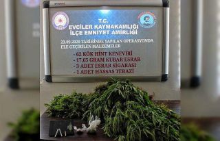 Evinin bahçesinde kenevir yetiştiren şahıs tutuklandı