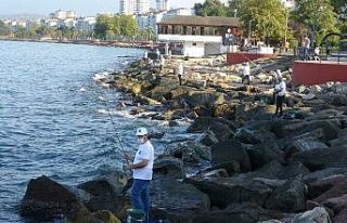 Fatsa’da balık avı yarışması