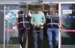 Fıstık hırsızlığı güvenlik kamerasında