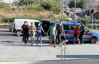Fotopakana bu sefer avokado hırsızları yakalandı