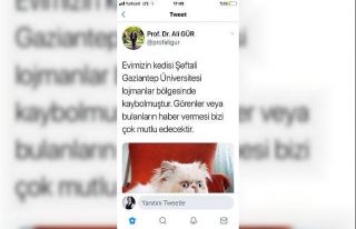 GAÜN Rektörü Gür Kedileri Şeftali’yi arıyor