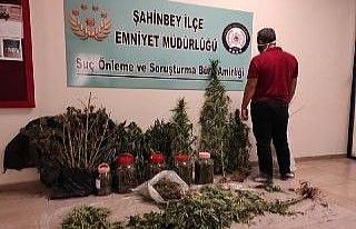 Gaziantep’te 12 kilo esrar ele geçirildi