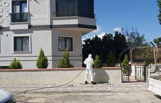 Gebze Belediyesi ‘dantel böceği’ne karşı mücadelesini...