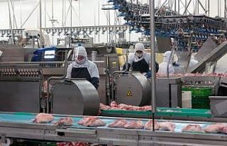 Gedik Piliç yılda 200 bin ton üretim yapıyor