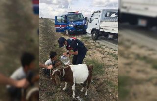 Genç çobanın yardımına jandarma ağabeyleri koştu