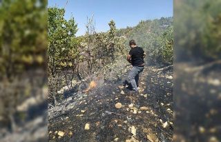 Gercüş’te ağaçlık alanda yangın: 100 dönümlük...