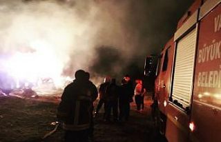 Gevaş’ta 16 bin bağ ot yandı