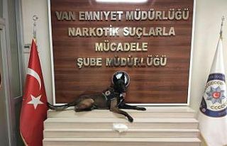 Gıda kolisinden zehir çıktı