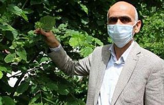 Giresun Ziraat Odası Başkanı Karan’dan sanayicilere...