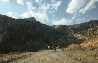 Göçerler yaylalardan dönmeye başladı