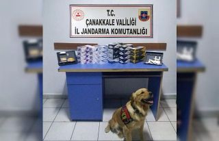 Gökçeada’da kaçak sigara operasyonu