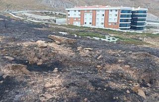 Gökçeada’daki yangın  söndürüldü