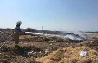 Gömeç’te çöplük yangını korkuttu