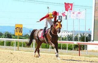 ’Gümbürgümbür’ kupa sevinci