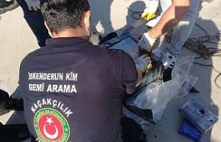 Gümrük Muhafaza Ekiplerinin koordinasyonunda İskenderun...